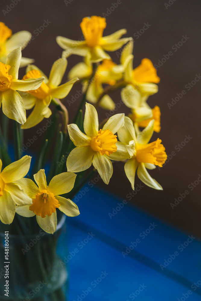Obraz premium Yellow narcissus or daffodil flowers on blue wooden background. Selective focus. Place for text.