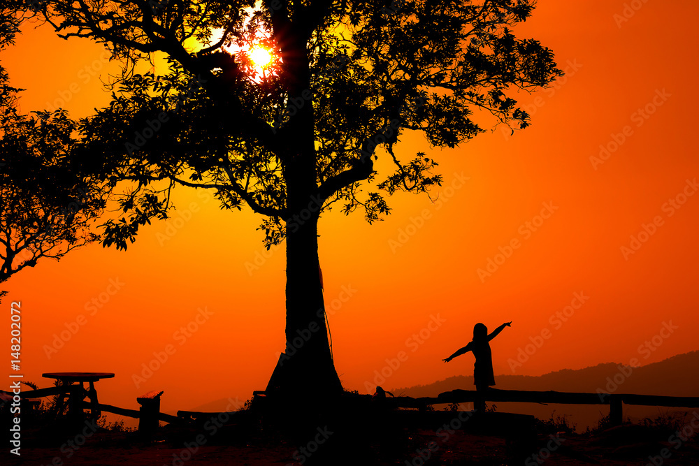Silhouette of a woman in a sunset.