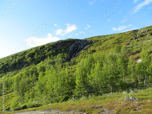 Swedish Mountain photo