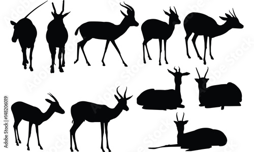 Gazelle Silhouette vector illustration