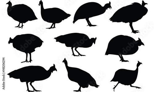 Guinea fowl Silhouette vector illustration