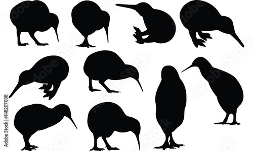 Kiwi Silhouette vector illustration