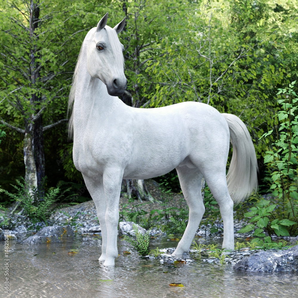 Obraz premium White stallion horse posing with a lake and woods background. 3d rendering