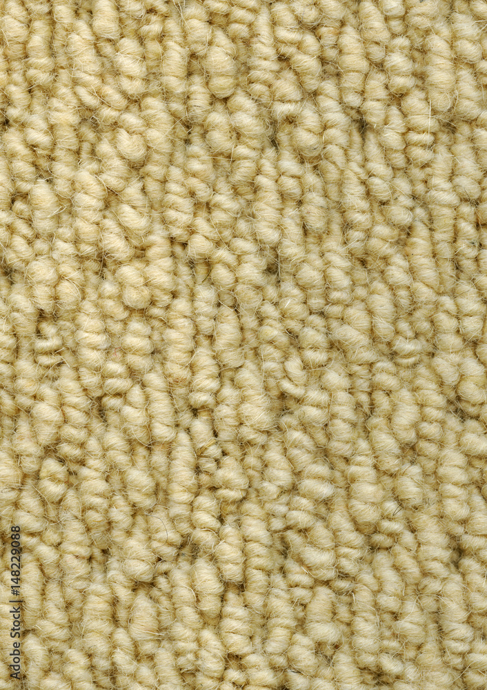 Carpet Carpet