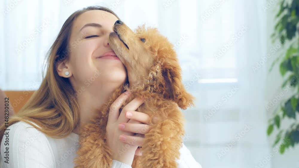 Young girl is resting with a dog on the armchair at home . Young girl is resting with a dog on the armchair at home .