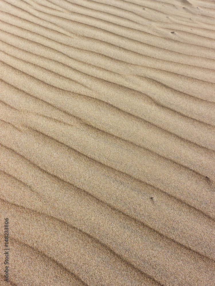 Rippled sand Rippled sand