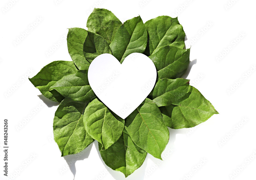 layout With green leaves And heart shape on a white background .flat lay. Protection of Nature layout With green leaves And heart shape on a white background .flat lay. Protection of Nature