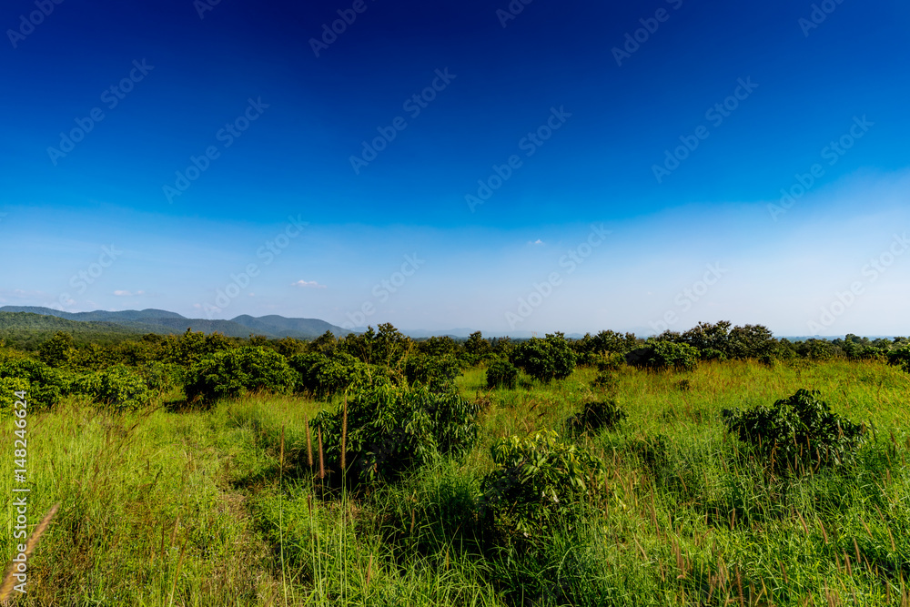Obraz premium Cloud with blue sky