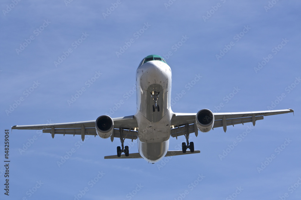 Naklejka premium Passenger Jet