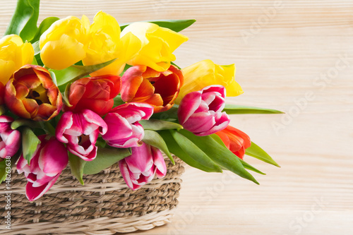 Wicker basket with multi-colored tulips, on a white wooden background