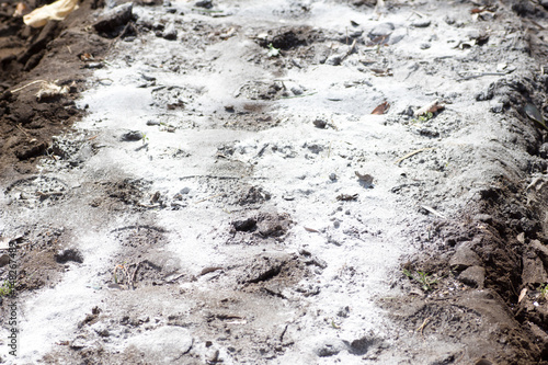 Spreaded powder of lime stone