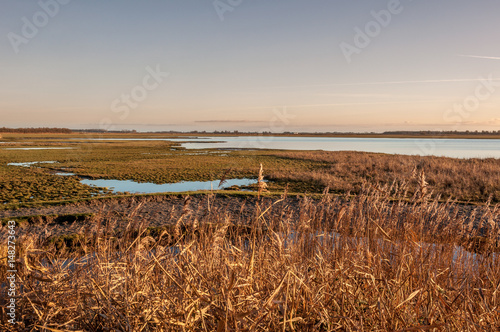 Lakes at Lauwersmeer in Holland photo