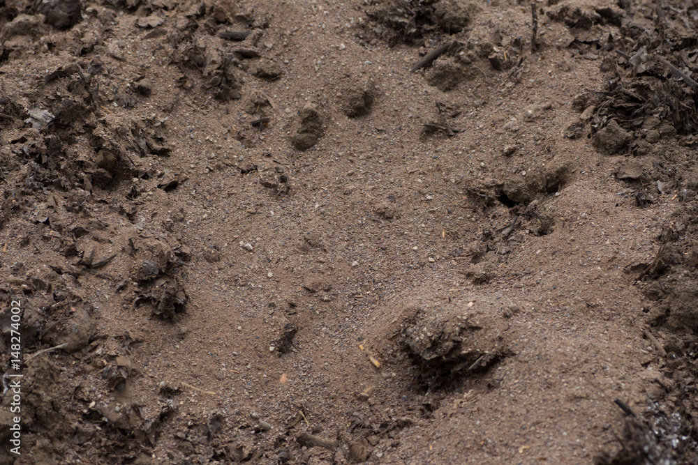Soft soil Soft soil