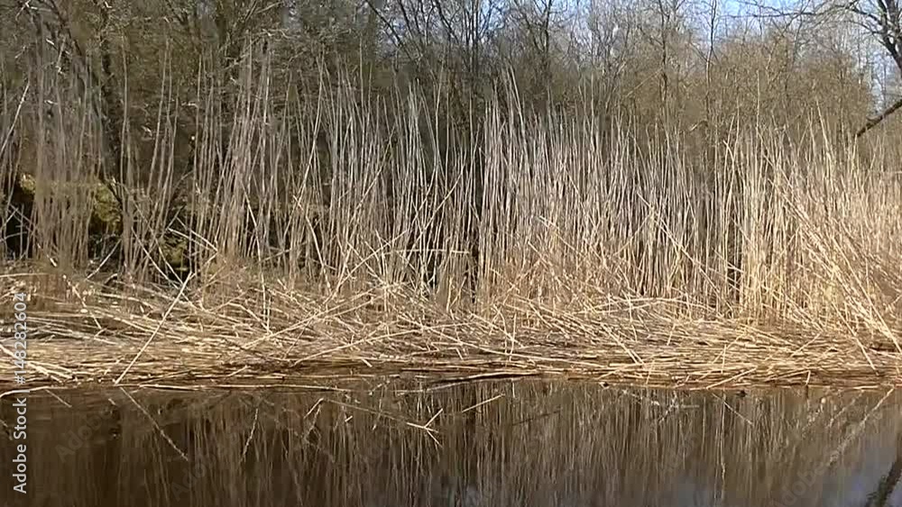 View in motion on the water on the grassy shore. A journey through the wild places of nature on the ship. The scene for the story of fishing and hunting in spring and winter. View in motion on the water on the grassy shore. A journey through the wild places of nature on the ship. The scene for the story of fishing and hunting in spring and winter.