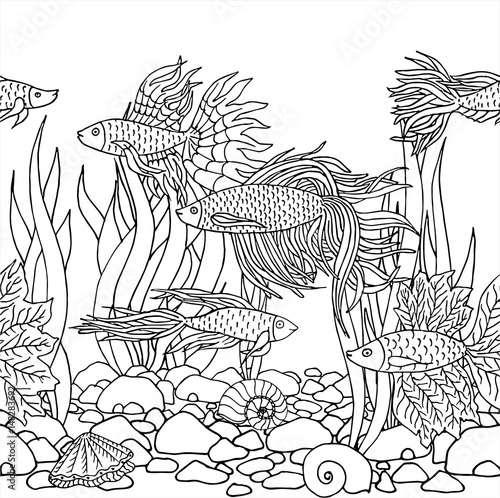 Hand drawn vector fish, seaweed, seashells, stones. Beautiful hand drawn Aquarium fish Betta. River  Sea fish.  Black and white drawing by hand. Line art. 