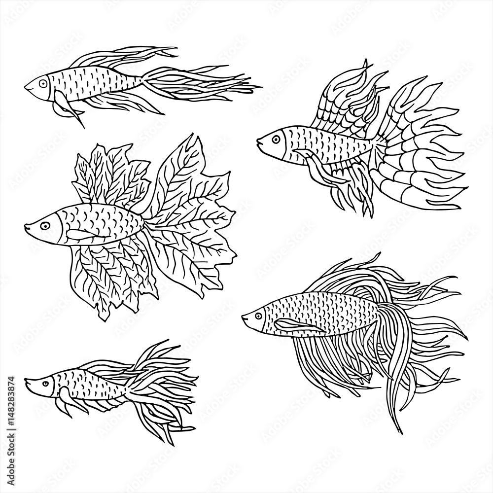 Set of Beautiful hand drawn Aquarium fish. River fish. Sea fish. Betta Fish.  Black and white drawing by hand. Line art. Stock Vector