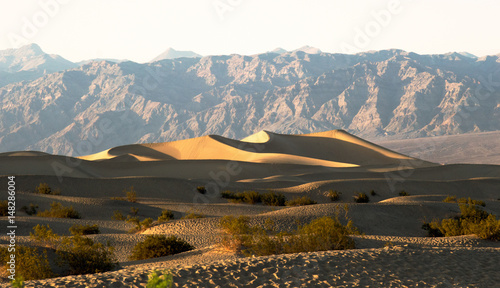 Fototapeta Naklejka Na Ścianę i Meble -  Mesquite Flat Sand Dunes