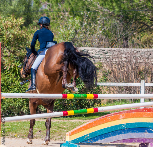 Equitation, saut d'obstacles, compétition.