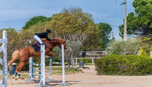 Obraz Jazda, skakanie, zawody.