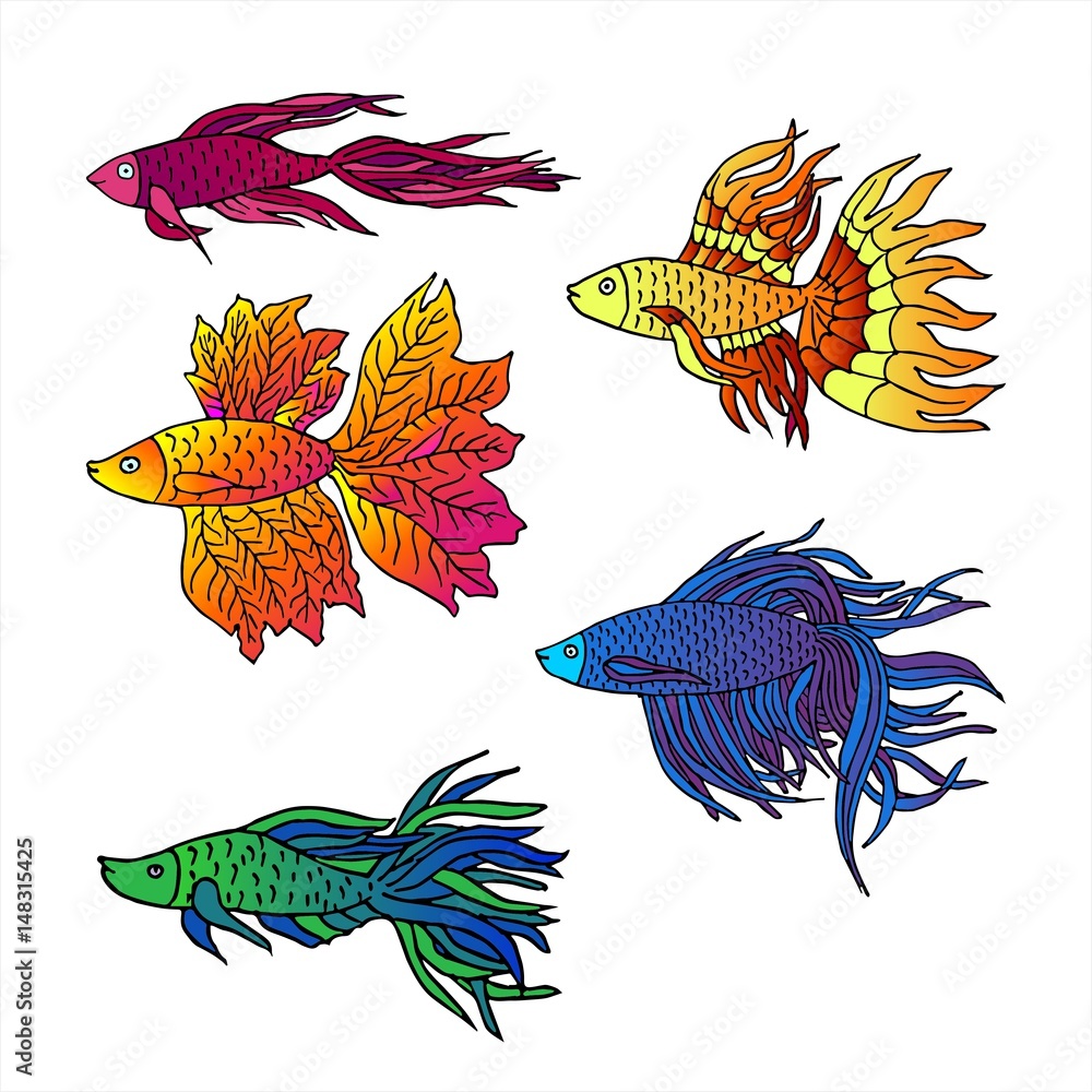 Set of Beautiful hand drawn Aquarium fish. River fish. Sea fish