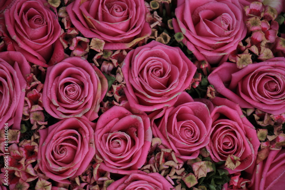 Mixed pink roses