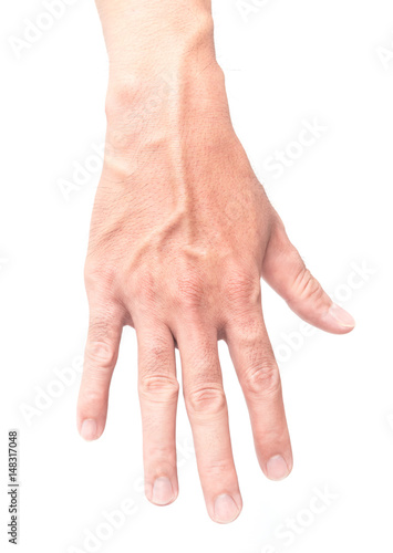 Man hand with blood veins on white background, health care and medical concept