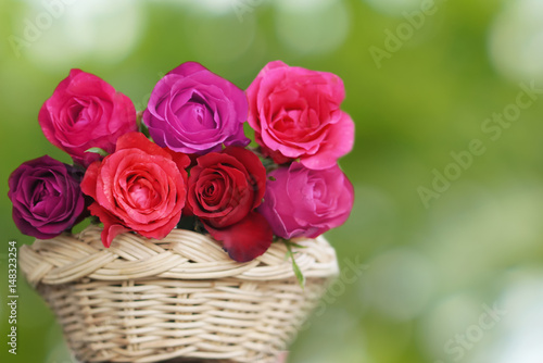 beautiful red pink and purple roses flower basket over green background with copy space