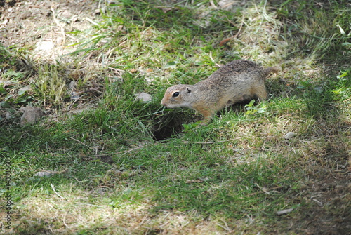 Wallpaper Mural Soulsik Torontodigital.ca