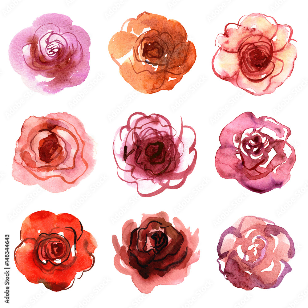 Set of watercolor roses isolated on a white background Set of watercolor roses isolated on a white background