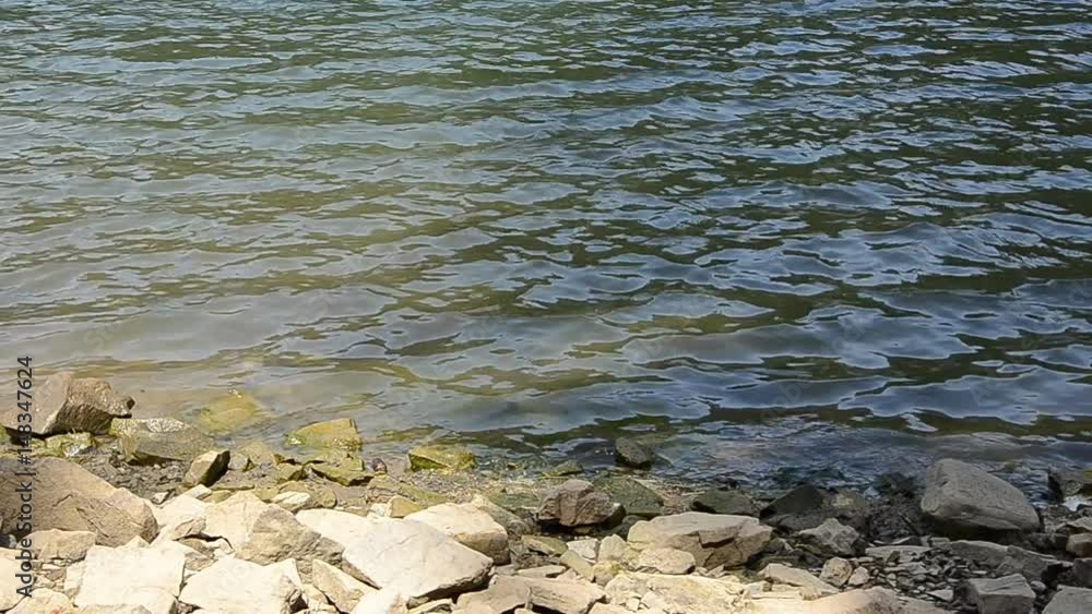 Video of the mountain lake Synevyr in the mountains. Video of the mountain lake Synevyr in the mountains.