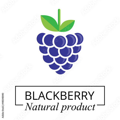 cartoon blackberry label