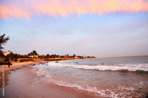 Palm trees on one of the beaches of somone, in the coastal region of Mbour, Senegal photo