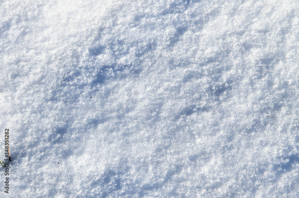 White snow texture