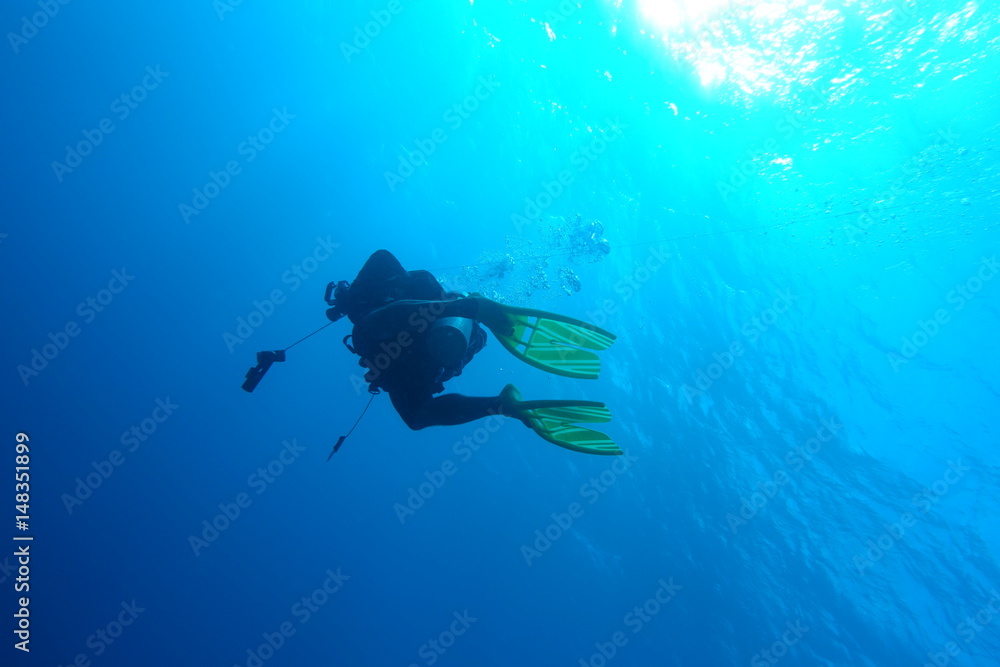 Diving in Puerto Rico