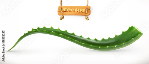 Aloe vera. Medicinal plant, 3d vector icon