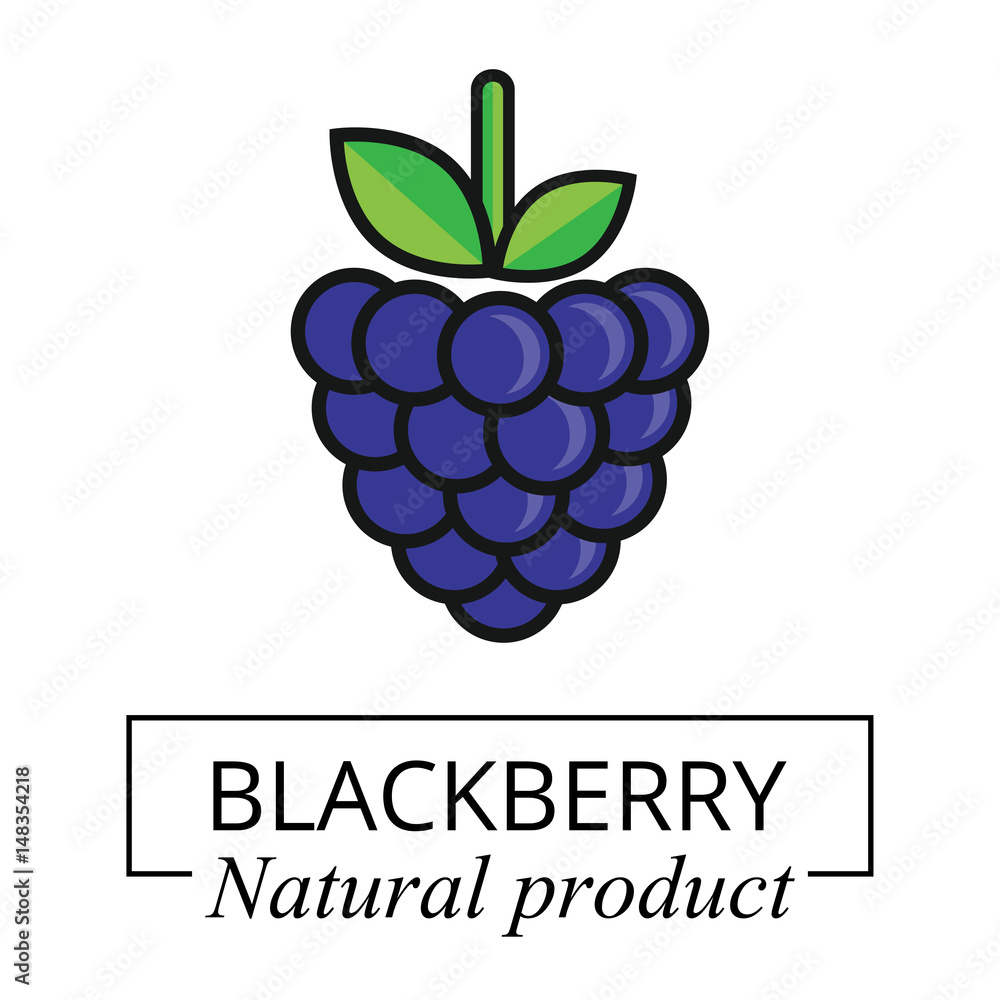 cartoon blackberry label vector cartoon blackberry label vector