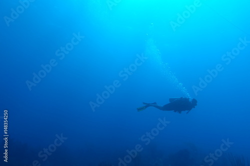 Diving in Puerto Rico © sindret