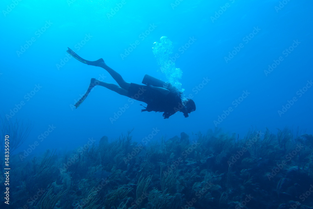 Fototapeta premium Diving in Puerto Rico