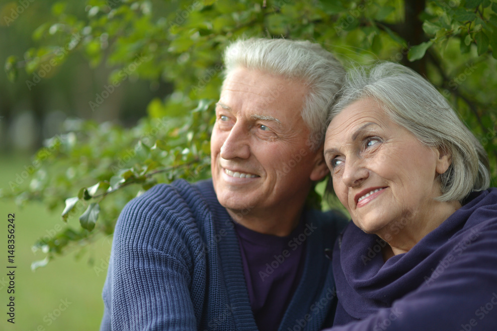 Happy beautiful elderly couple 