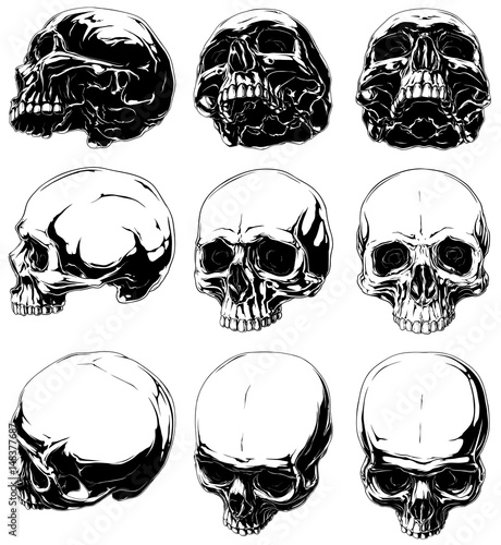 Vector set of 9 realistic horror detalied graphic black and white human skulls in different projections without lower jaw photo