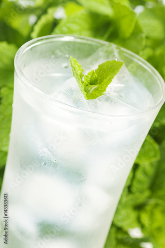 iced mint water