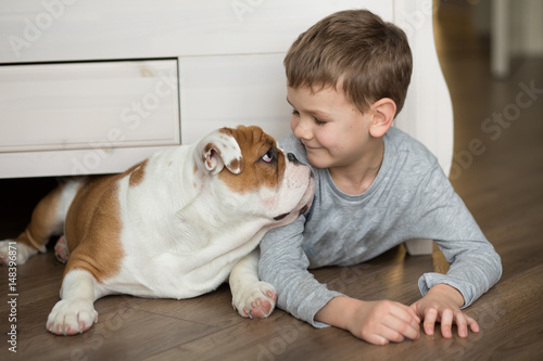 Cute boy plays on the floor on a carpet with puppies of English bulldog