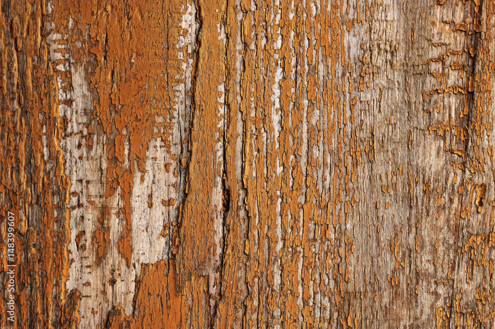 Wood background or texture, natural Wood background or texture, natural