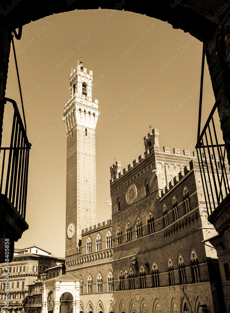 Fototapeta premium Torre del Mangia