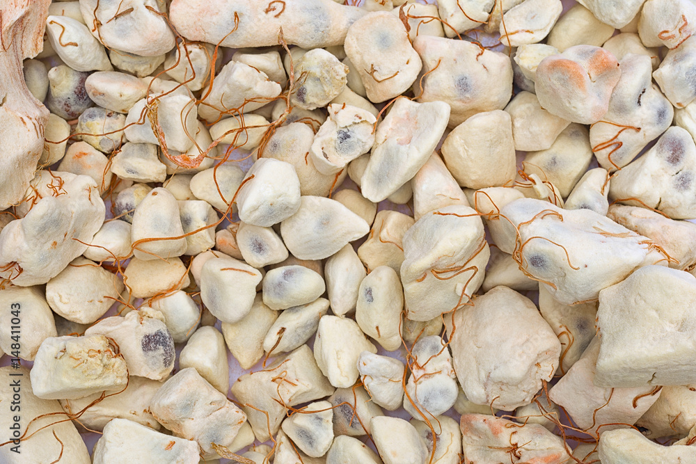 Baobab fruit (Adansonia digitata), background, pulp and powder, superfood Baobab fruit (Adansonia digitata), background, pulp and powder, superfood