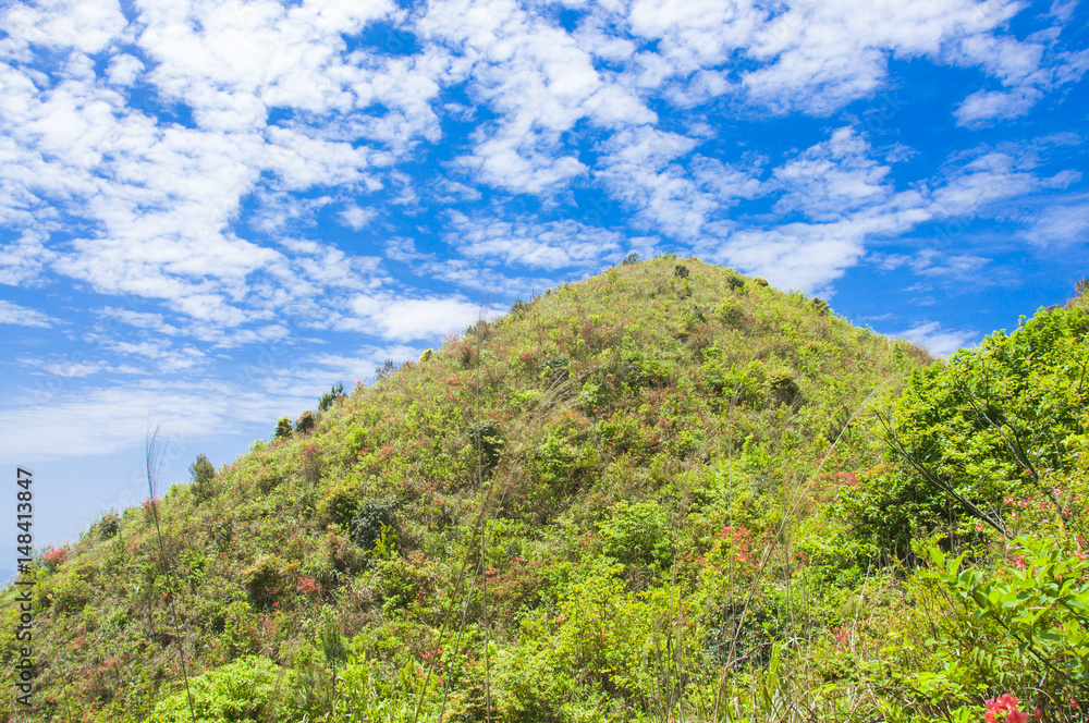 Mountains scenery with blue sky background in summer Mountains scenery with blue sky background in summer