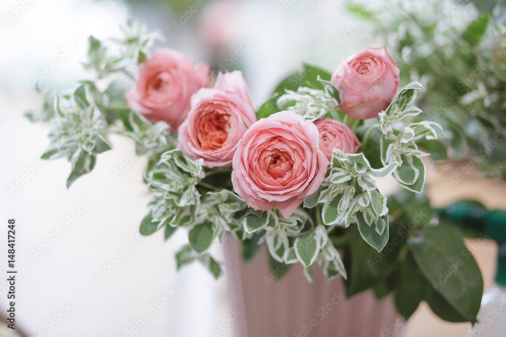 Obraz premium soft focus beautiful pink roses isolated on white background