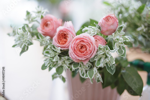 soft focus beautiful pink roses isolated on white background