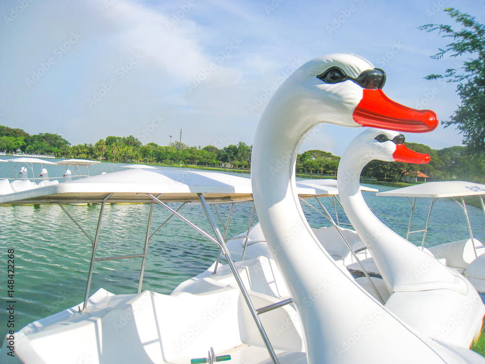 Obraz premium Pedal boats