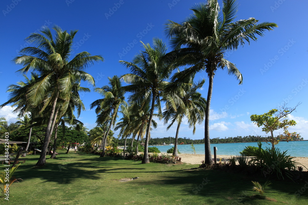 Fototapeta premium Fiji Ocean